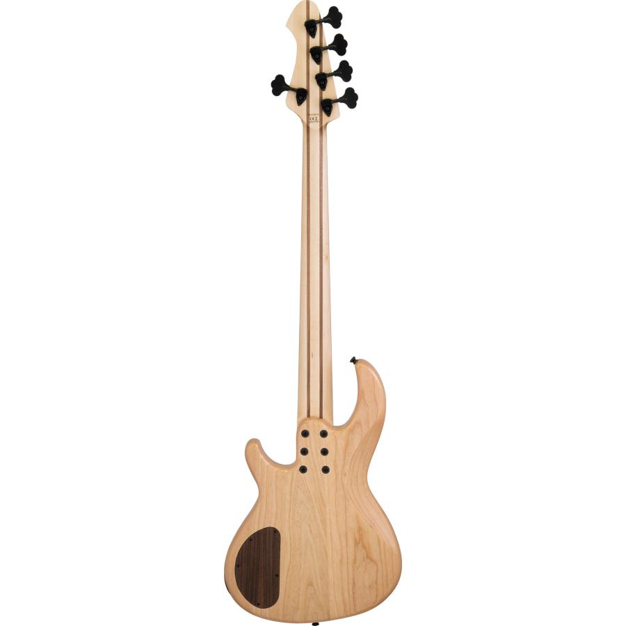 Aria Proll ProII RSB-700WP/5 N (Natural) 5弦ベース/ケース付