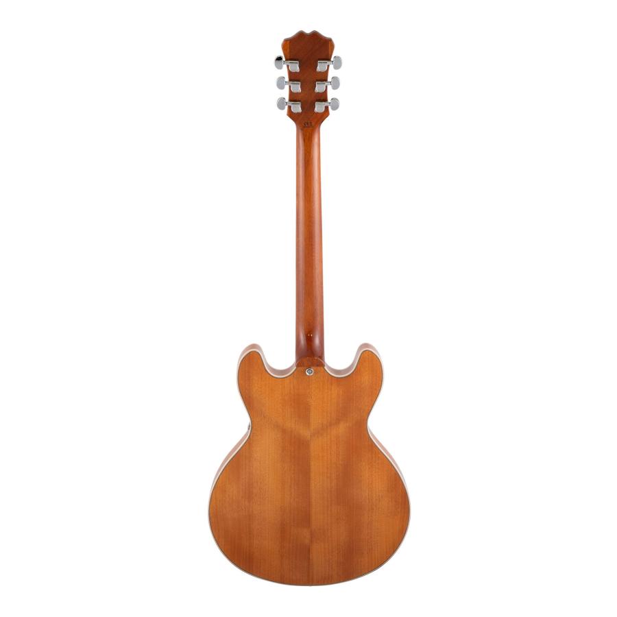 Aria ProII TA-200 MH(Mahogany) セミアコースティックギター/ケース付の画像