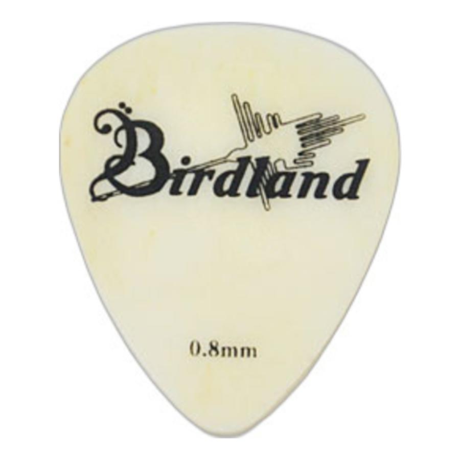 Birdland Buffalo Bone Flat Pick 0 8mm ギター ピック 133 06 006 天然素材ピック メール便発送 代金引換不可 さくら山楽器 通販 Paypayモール