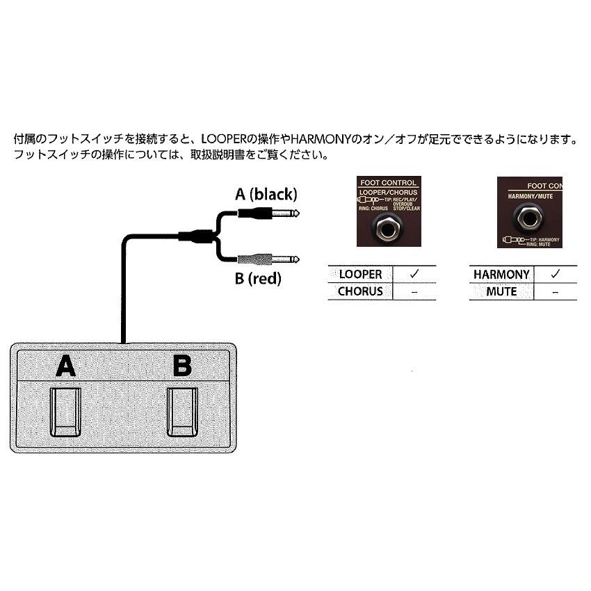 Boss Acs Live フットスイッチ付属 Acoustic Singer Live Acoustic Amplifier ステージアンプ さくら山楽器 通販 Paypayモール