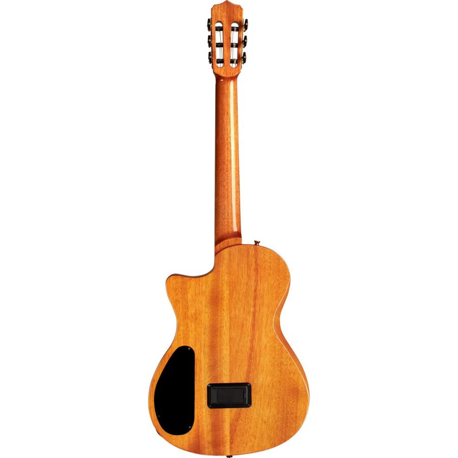 CORDOBA STAGE Natural Amber コルドバ 薄胴 エレクトリック クラシックギター エレガット/ギグバッグ付_2