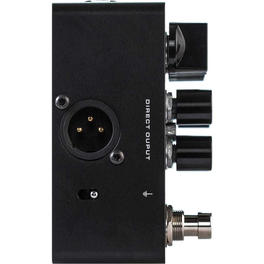 Darkglass Electronics Luminal Booster Ultra ブースター : さくら山