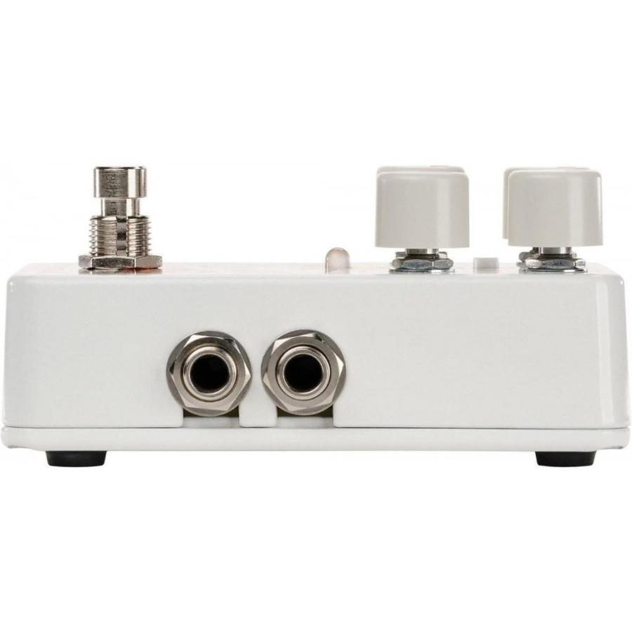 ELECTRO HARMONIX Canyon Delay ＆ Loopers ディレイ ルーパー
