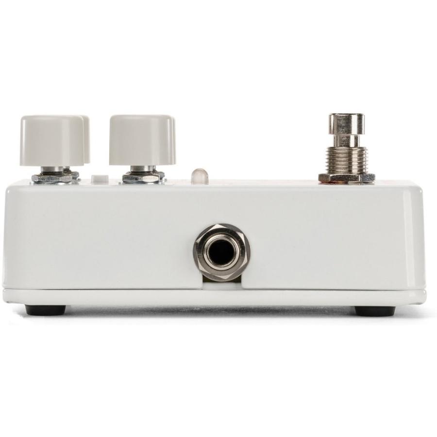 ELECTRO HARMONIX Canyon Delay ＆ Loopers ディレイ ルーパー
