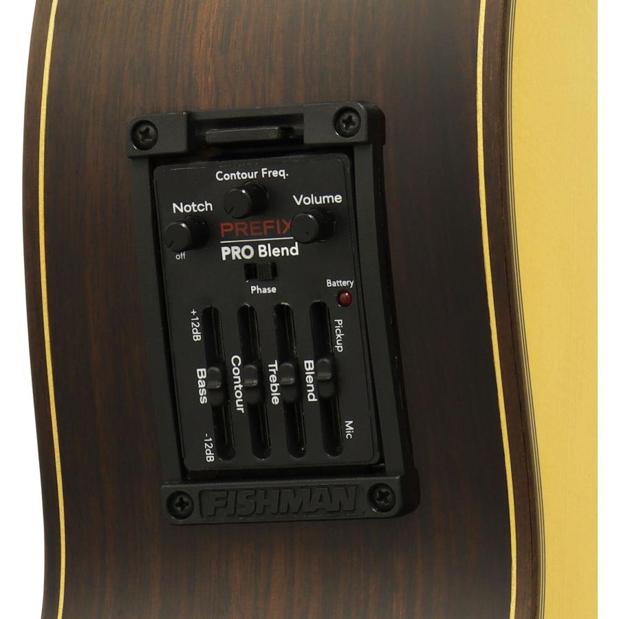 ESTEVE ELEC Spr スプルース単板トップ スペイン製 ピックアップ搭載 クラシックギター エレガットの画像