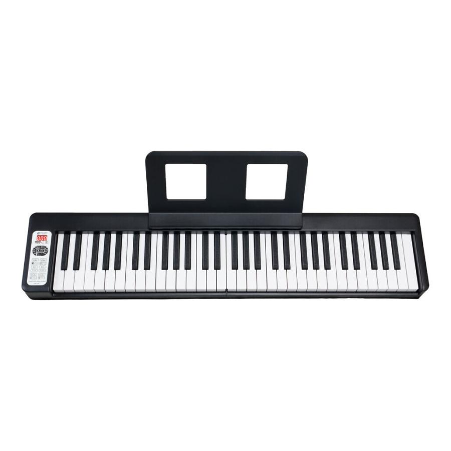 KIKUTANI（キクタニ） KIKUTANI KDP-61P BLK ブラック 折り畳み