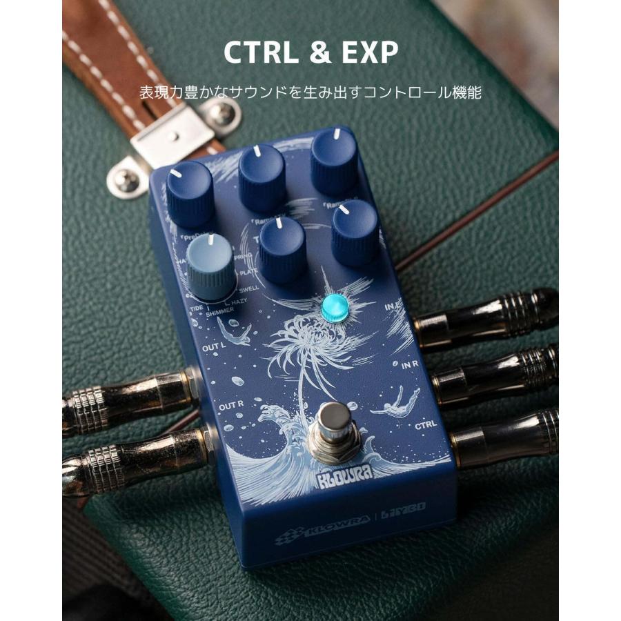 KLOWRA KBS-01 / Limbo Reverb クロウラ ステレオ リバーブ : さくら山
