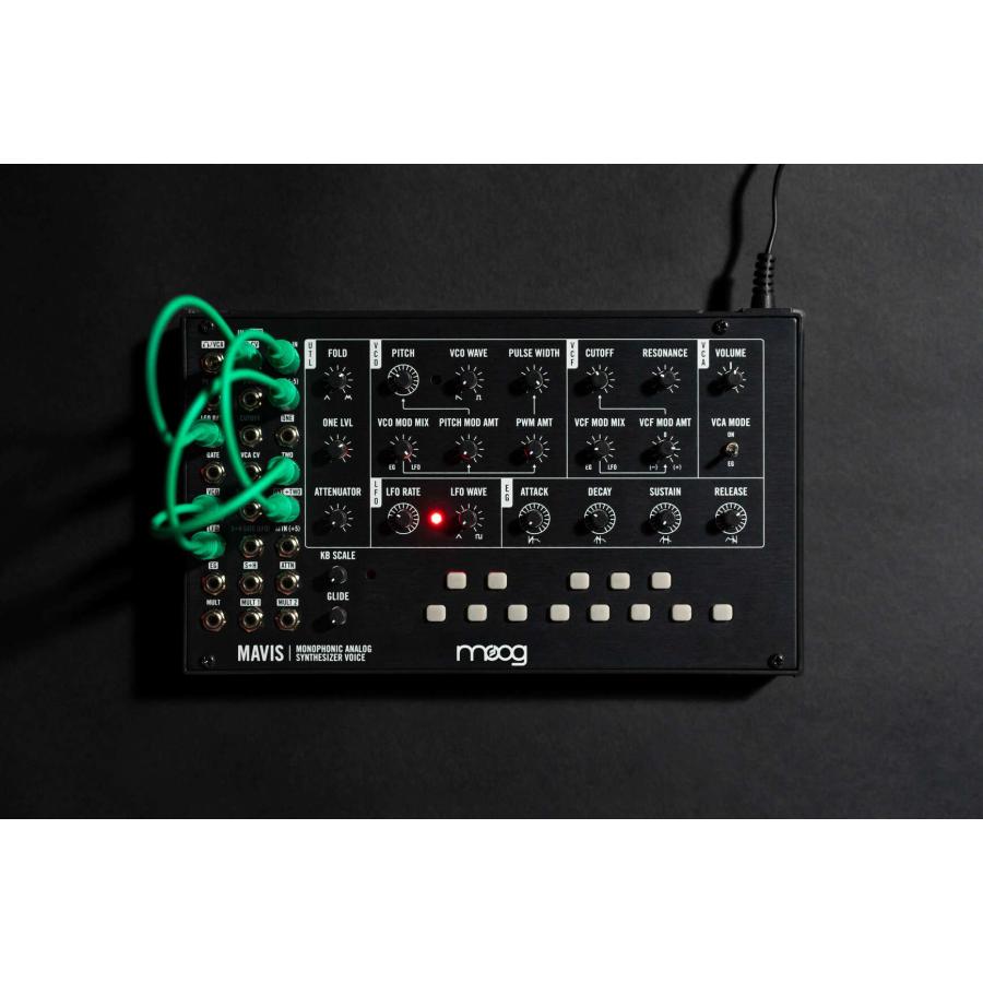 MOOG（シンセサイザー） moog Mavis 組み立て式 アナログ