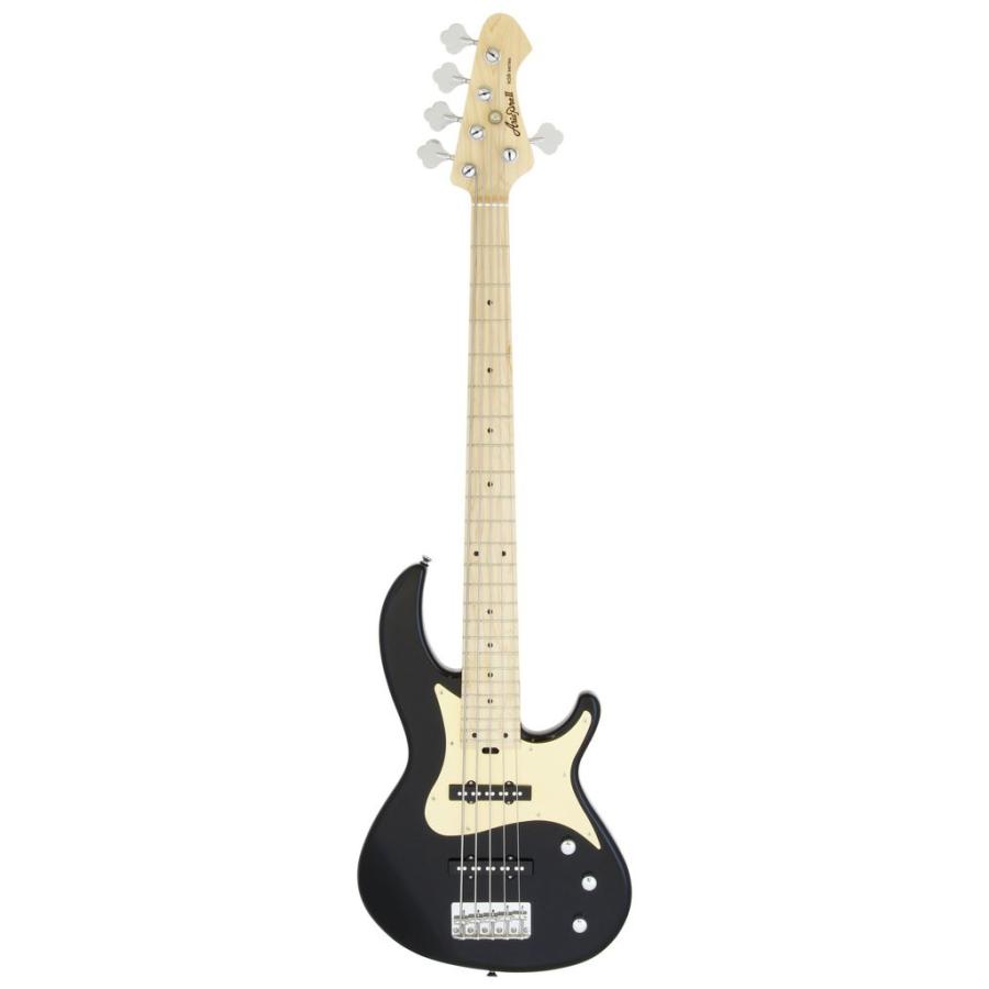 キャンペーン]AriaProII RSB-618/5 BK(Black) 5弦ベース/ケース付/代金 