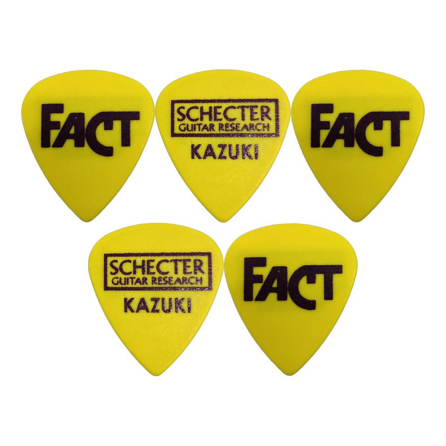 SCHECTER FACTシグネチャーモデル SCHECTER】2024年12月より再始動し、2025年10月で解散を発表して