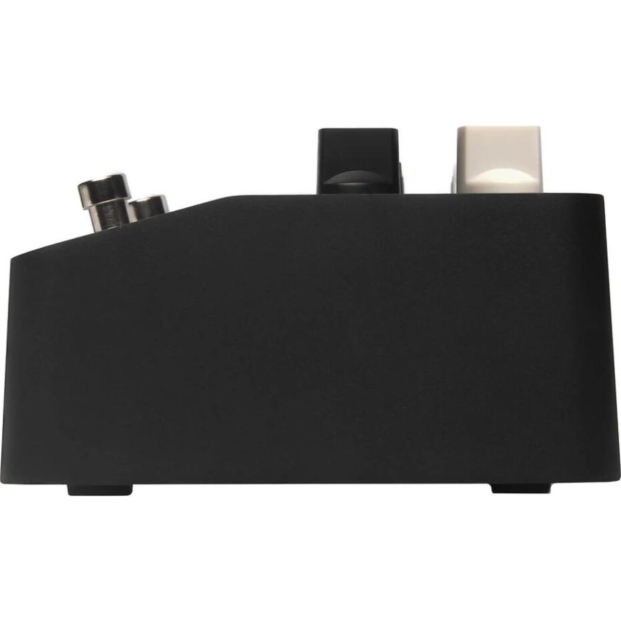 Two notes ReVolt Bass アナログアンプシミュレーター Two Notes ReVolt Bass（新品）【楽器検索デジマート】