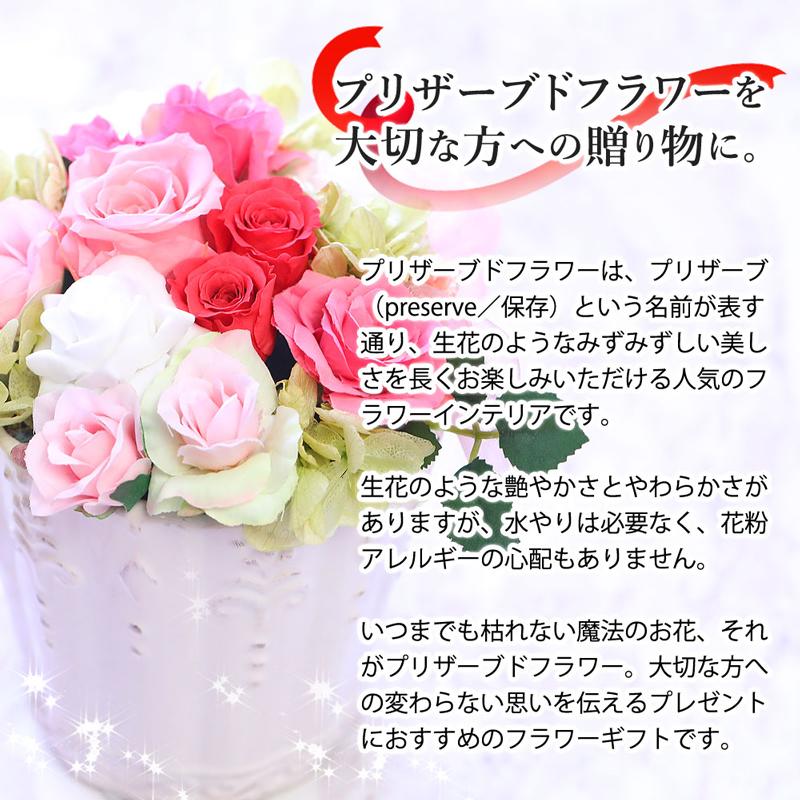 母の日 花 ギフト お菓子 ハーバリウム ねこ どら焼き どらネコ 5個 セット 送料無料 スイーツ 誕生日 プレゼント どらやき 猫 和菓子 感謝 和菓子 Fd 80hb 日本ロイヤルガストロ倶楽部 通販 Yahoo ショッピング