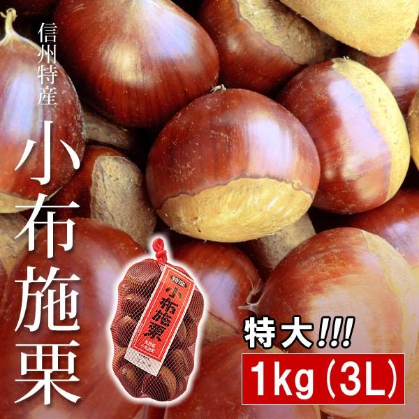 熊本県産　生栗　特大（３L以上）１ｋｇ