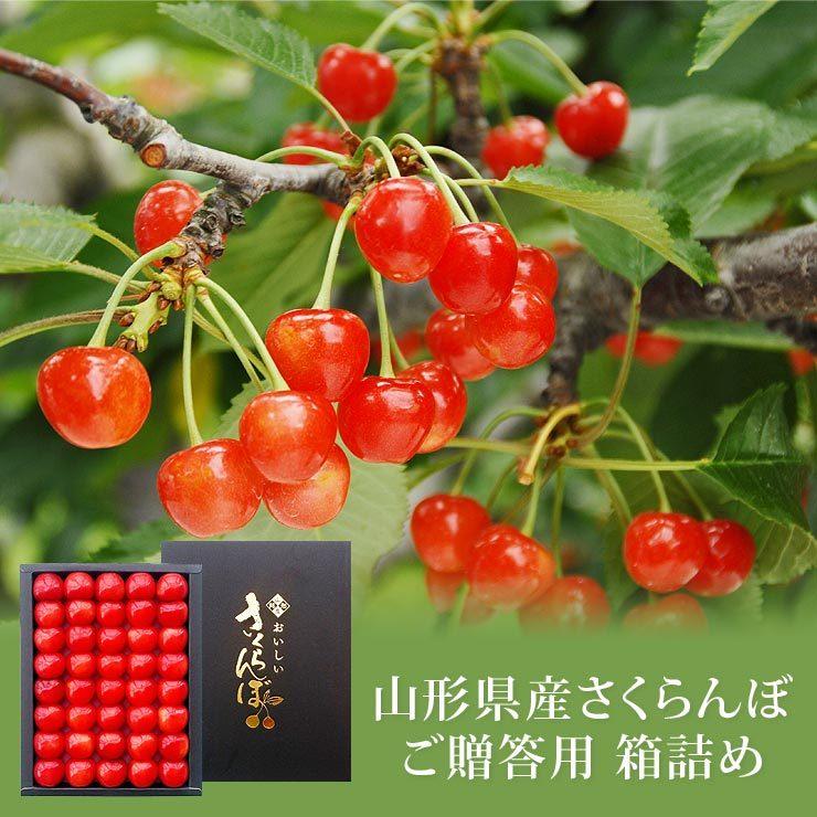さくらんぼ 佐藤錦 または 紅秀峰 約300g 山形県産 秀品 化粧箱入り | 御中元 フルーツ 贈り物 贈答 くだもの :JAG-209:日本ロイヤルガストロ倶楽部 - 通販 - Yahoo!ショッピング さくらんぼ 佐藤錦 または 紅秀峰 約300g 山形県産 秀品 化粧箱入り | 御中元 フルーツ 贈り物 贈答 くだもの :JAG-209:日本ロイヤルガストロ倶楽部 - 通販 - Yahoo!ショッピング