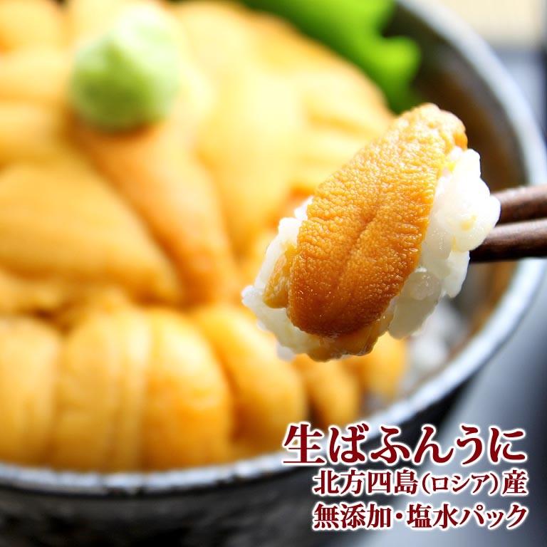 即日出荷 無添加 生ばふんうに 馬糞海胆 北海道北方四島産 約90g 塩水パック入り 贈り物 贈答 グルメ 海外正規品 Zoetalentsolutions Com