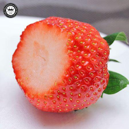 いちご 美人姫 びじんひめ 岐阜県羽島市産 超特大サイズ 1粒 桐箱入り