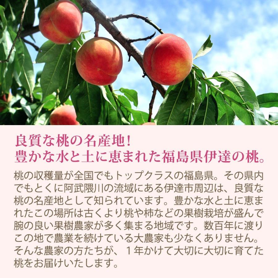 お中元 フルーツ 桃 詰め合わせ 桃王国 福島県伊達産 極上品 6玉前後 大玉 約2kg 送料無料 くだもの 果物 ギフト プレゼント 御中元 贈り物 暑中 残暑 見舞い Sb 01 日本ロイヤルガストロ倶楽部 通販 Yahoo ショッピング