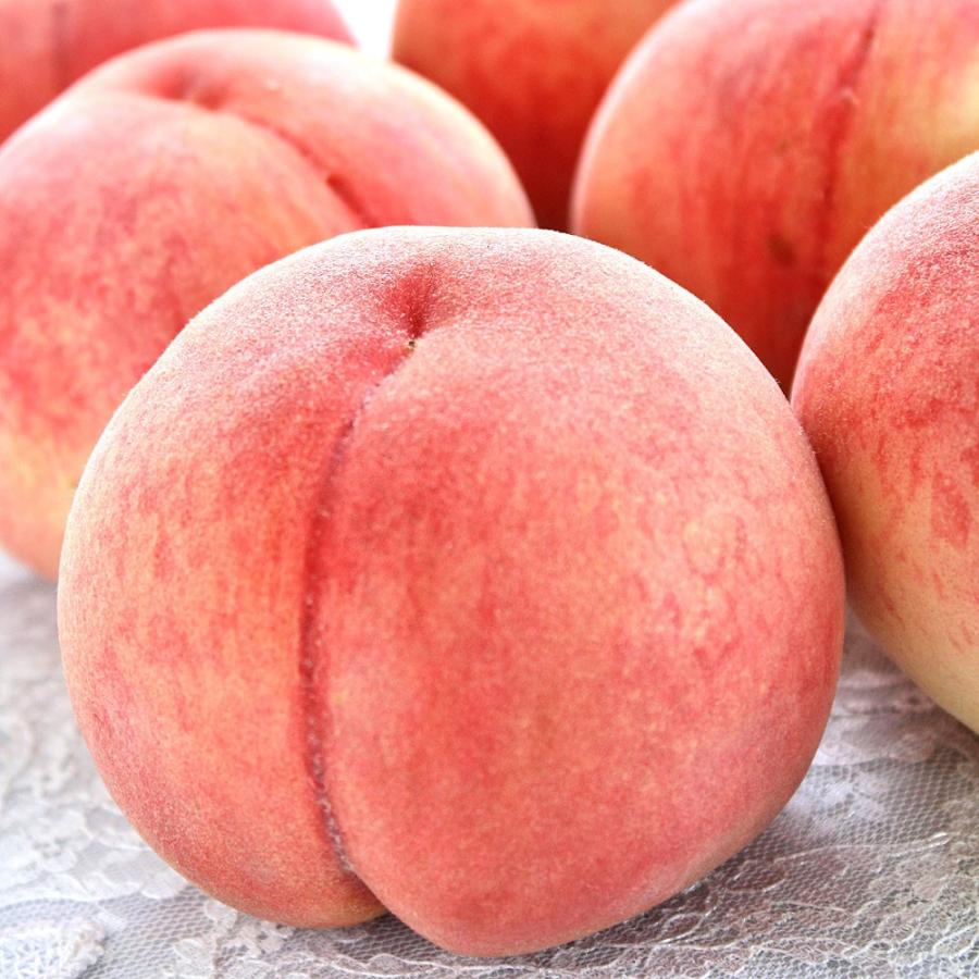 お中元 フルーツ 桃 詰め合わせ 桃王国 福島県伊達産 特上品 10玉前後 中玉 約3kg 送料無料 くだもの 果物 ギフト プレゼント 御中元 贈り物 暑中 残暑 見舞い Sb 03 日本ロイヤルガストロ倶楽部 通販 Yahoo ショッピング