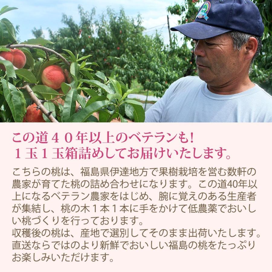 お中元 フルーツ 桃 詰め合わせ 桃王国 福島県伊達産 特上品 12玉前後 中玉 送料無料 | くだもの 果物 ギフト プレゼント 御中元 贈答 贈り物 暑中 残暑 見舞い｜aionline-japan｜07