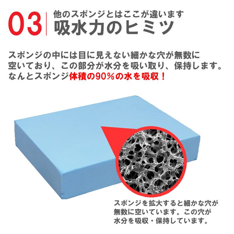 アイオン アイオン公式 超吸水スポンジ 650ml ワイド 結露防止 水滴