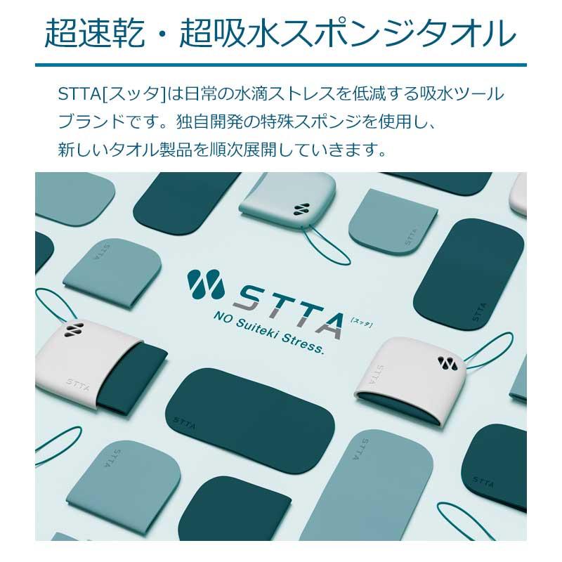 メーカー公式 アイオン STTA シートタイプ 吸水ハンカチ 雨対策 汗拭き