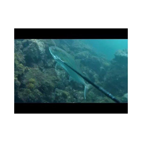 一本銛 五又銛の銛先2種類 5点セット 魚突き スキューバ 素潜り 手銛 手モリ 水中銃 パラライザー ダイビング 魚突き 1 0517 4 Aio 通販 Yahoo ショッピング
