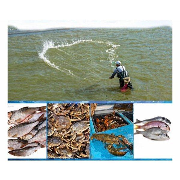 投網 魚捕獲網 魚とり網 魚網 魚取り網 漁網 410cm 投げ網 投網 魚捕獲網 魚とり網 魚網 魚取り網 漁網 410cm 投げ網