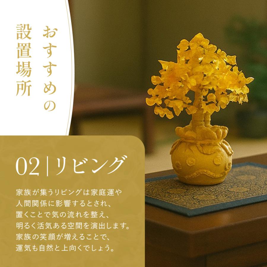 風水 黄金木 招財樹 金のなる木 黄水晶 シトリン 風水アイテム 金運