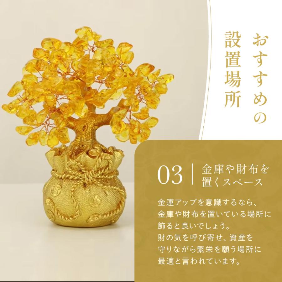 風水 黄金木 招財樹 金のなる木 黄水晶 シトリン 風水アイテム 金運