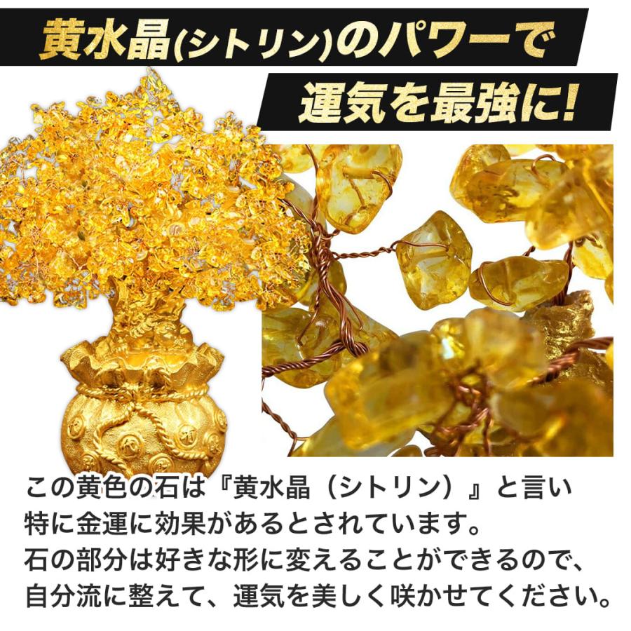 特大黄金木 招財樹 金のなる木 黄水晶 風水アイテム 金運アップ 特大黄金木 招財樹 金のなる木 黄水晶 風水アイテム 金運アップ