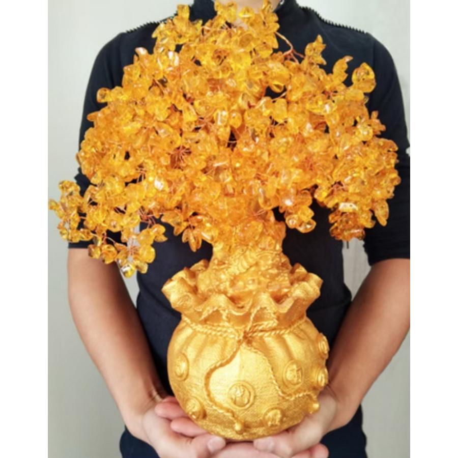 レビュー特典 干支ゴールド護符プレゼント 特大黄金木 招財樹 金のなる