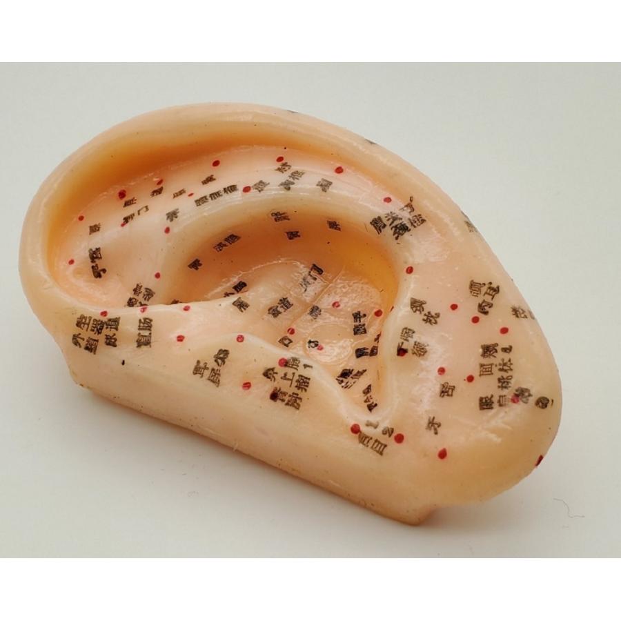 耳つぼ 模型 耳つぼマッサージ 体系的に覚える ツボグッズ 耳裏マッサージ みみつぼ 反射区 表記 鍼灸 練習用 資格用 マネキン 試験 講習用 講習 先生 授業 検定 0701 1 Aio 通販 Yahoo ショッピング