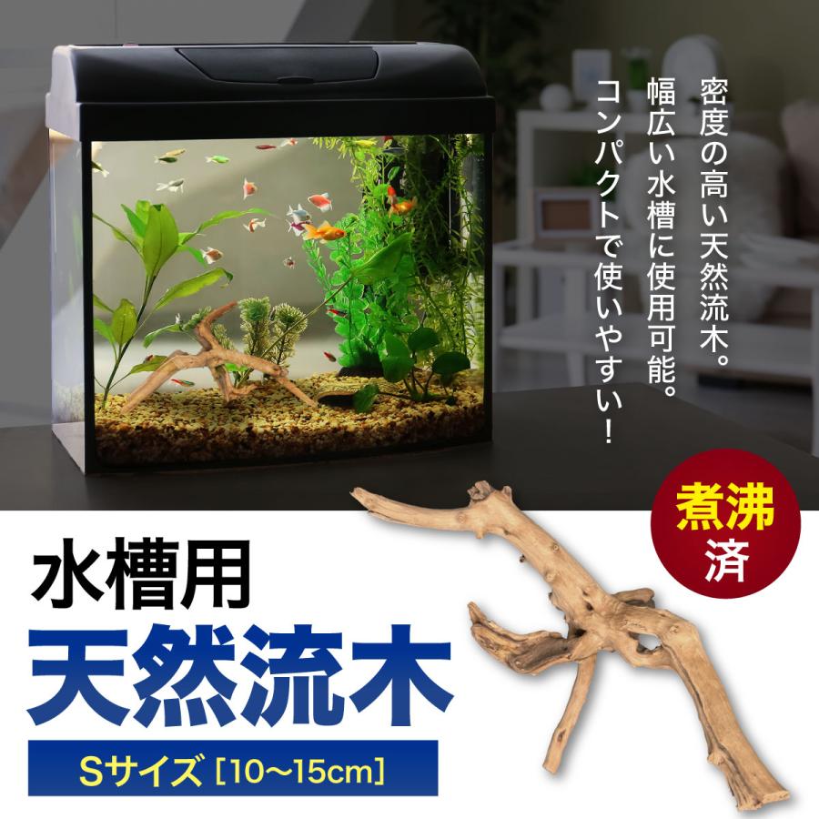 1個Sサイズ 形状お任せタイプ アクアリウム 流木 煮沸済 水槽 1個Sサイズ 形状お任せタイプ アクアリウム 流木 煮沸済 水槽