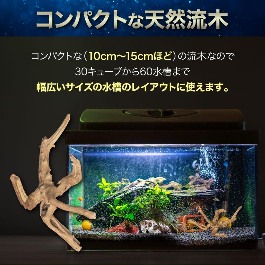 1個Sサイズ 形状お任せタイプ アクアリウム 流木 煮沸済 水槽 1個Sサイズ 形状お任せタイプ アクアリウム 流木 煮沸済 水槽