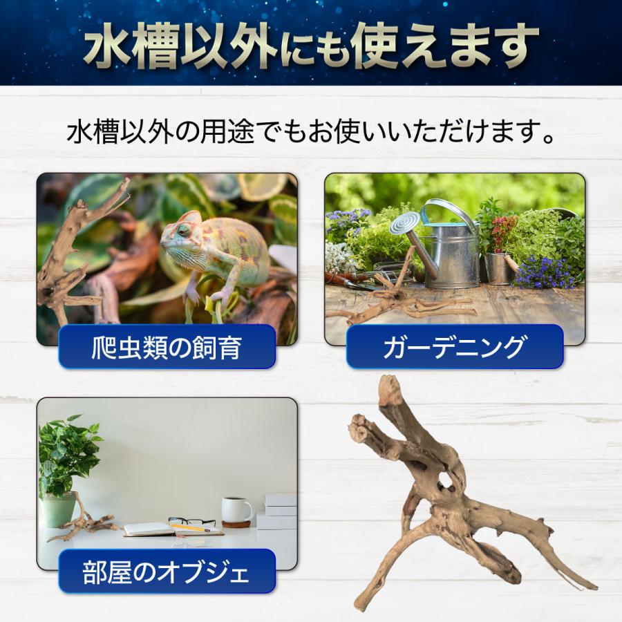 1個Sサイズ 形状お任せタイプ アクアリウム 流木 煮沸済 水槽 1個Sサイズ 形状お任せタイプ アクアリウム 流木 煮沸済 水槽