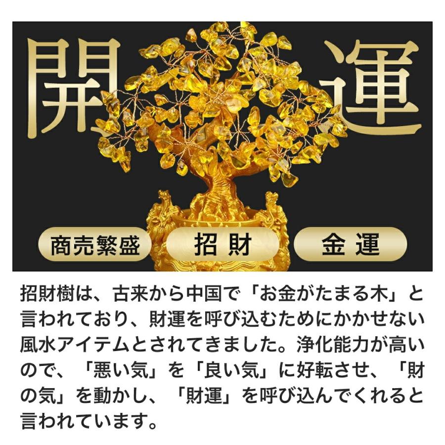 レビュー特典 干支ゴールド護符プレゼント 龍の黄金木 招財樹 金のなる