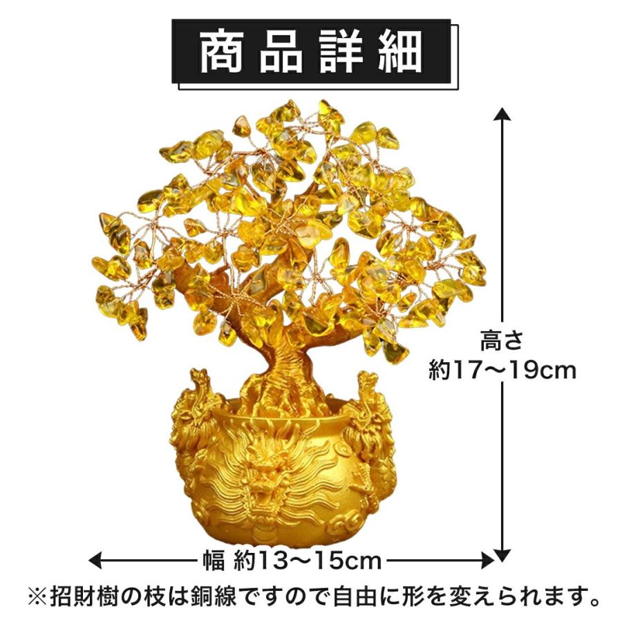 レビュー特典 干支ゴールド護符プレゼント 龍の黄金木 招財樹 金のなる