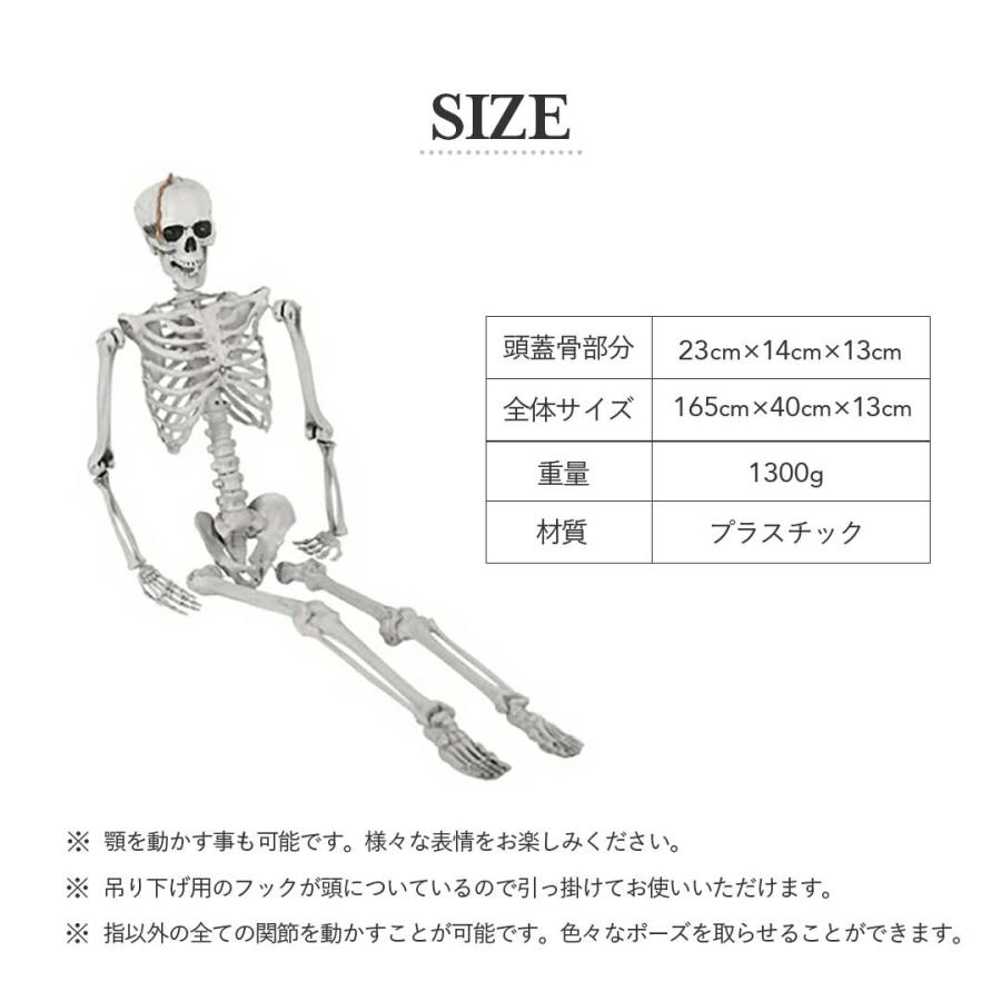 今だけ限定特典 WARNINGテープ6m付き ドクロ 人体模型 骸骨 ガイコツ