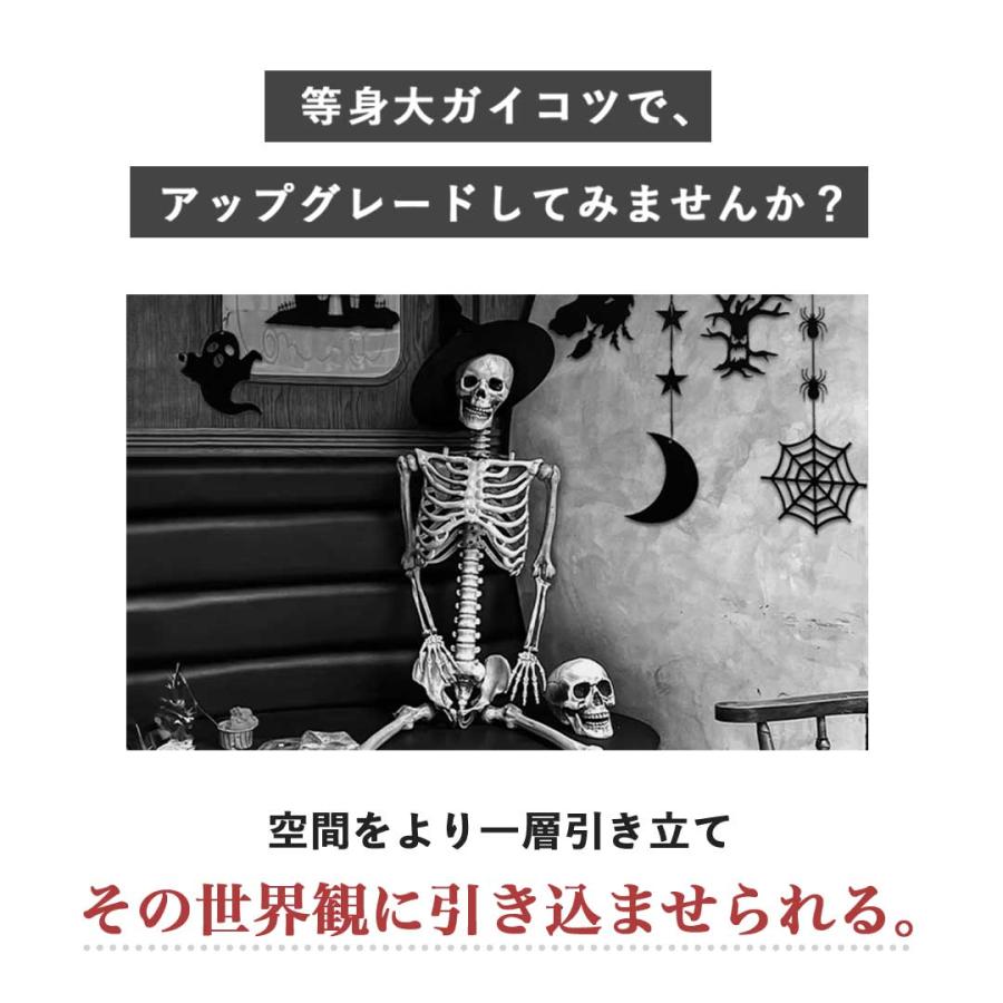 今だけ限定特典 WARNINGテープ6m付き ドクロ 人体模型 骸骨 ガイコツ