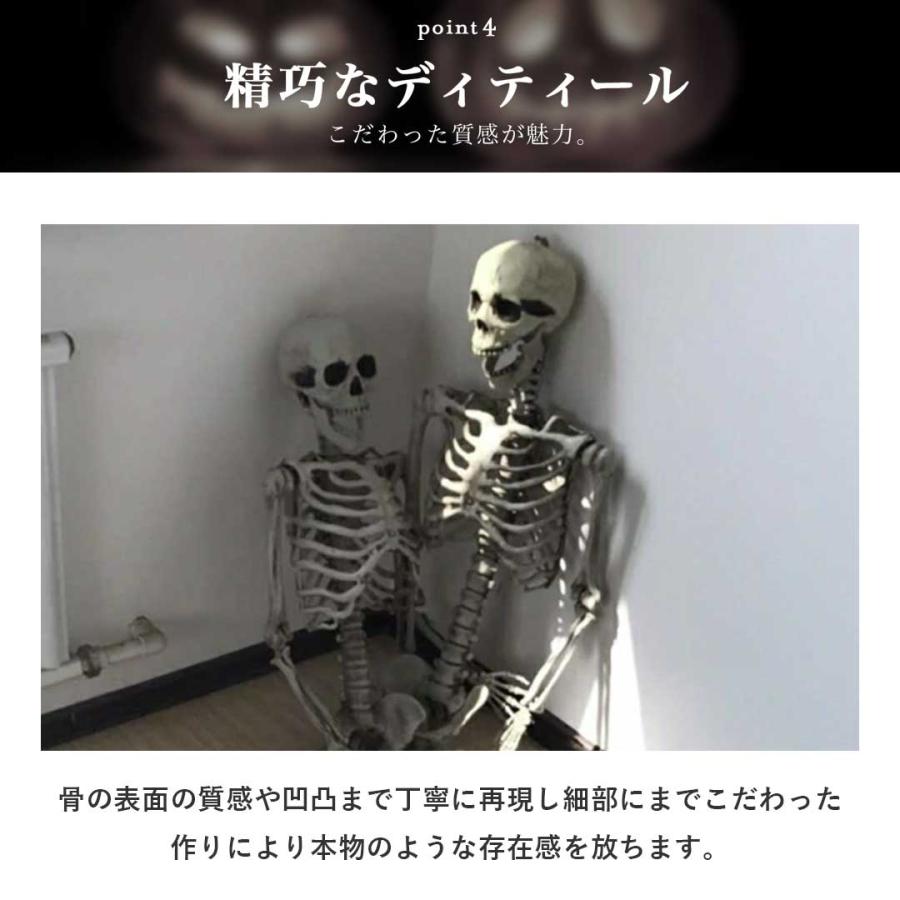 今だけ限定特典 WARNINGテープ6m付き ドクロ 人体模型 骸骨