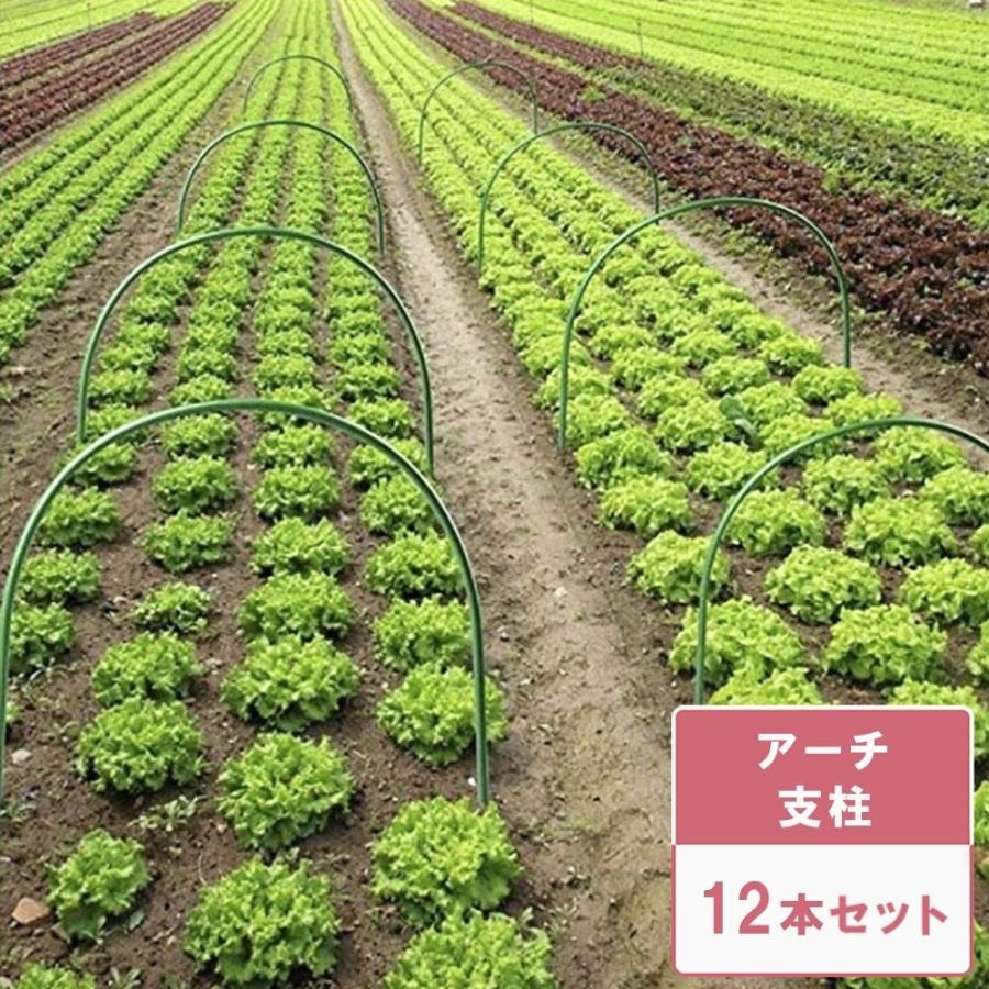 保障できる 在庫限り アーチパイプ 支柱 畑 グリーン 12本セット ビニールハウス 家庭菜園 ガーデニング 農作業 栽培 資材 園芸用品 農業資材 園芸支柱 アーチ支柱 日本最大級 Turningheadskennel Com