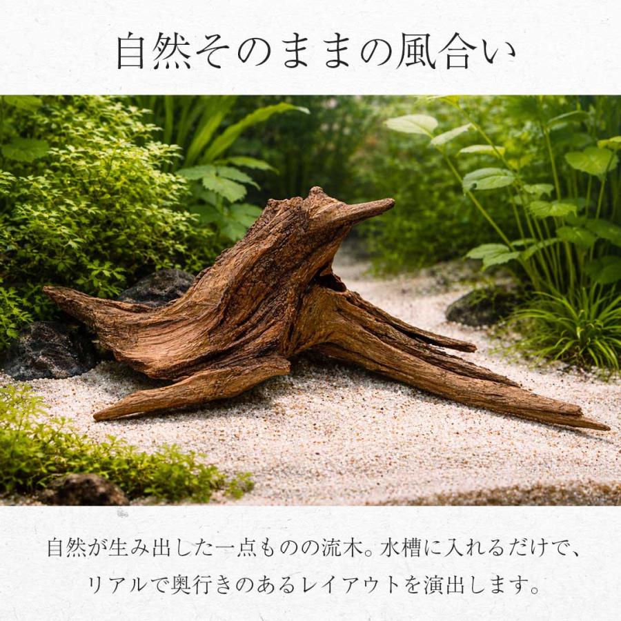 はやみん　流木 レイアウト用品 爬虫類用 Amazon | 爬虫類 流木 木 隠れ家 登り木 人工水草 水槽 オブジェ