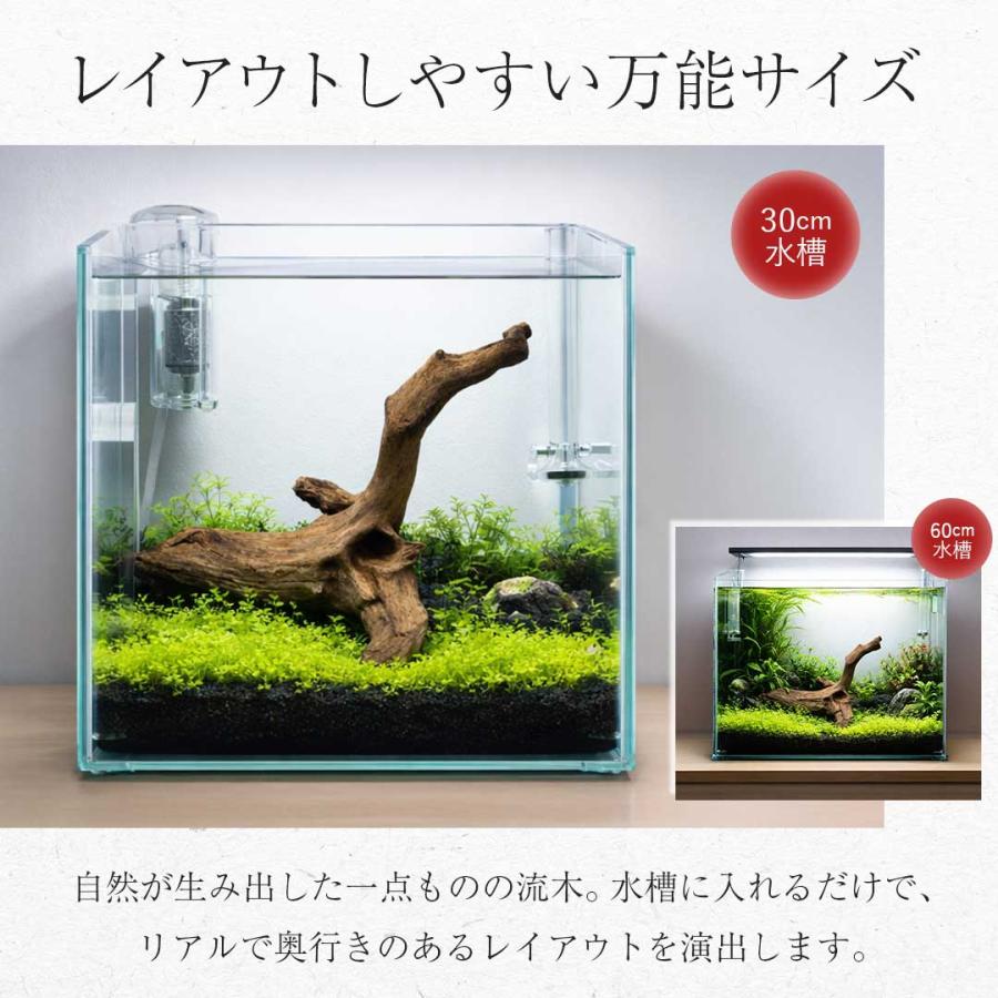 流木/テラリウム/レイアウト 1個 Sサイズ 形状お任せタイプ アクアリウム 流木 煮沸済 流木 水槽