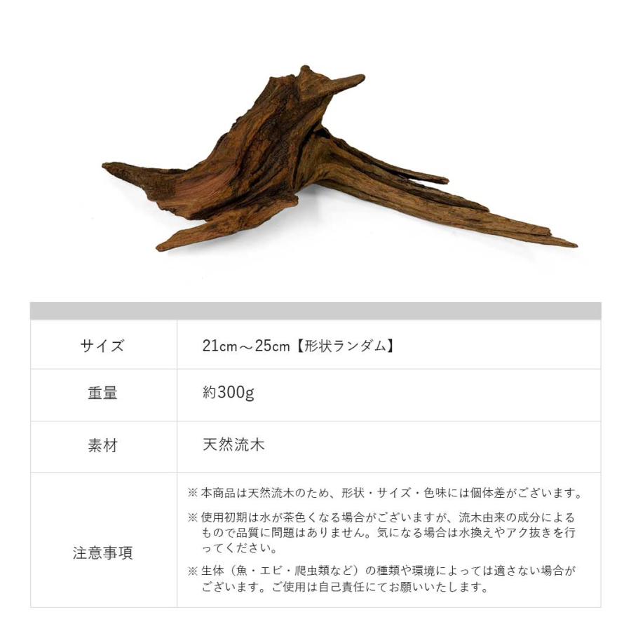 アクアリウム 流木 ーVer2ー 形状お任せタイプ 21〜25cm 水槽撮影