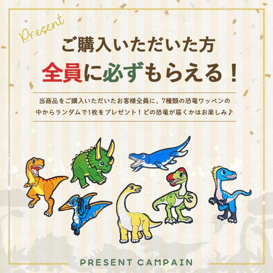 今だけ特典 ランダム恐竜ワッペンをプレゼント！ 玩具 トリケラトプス