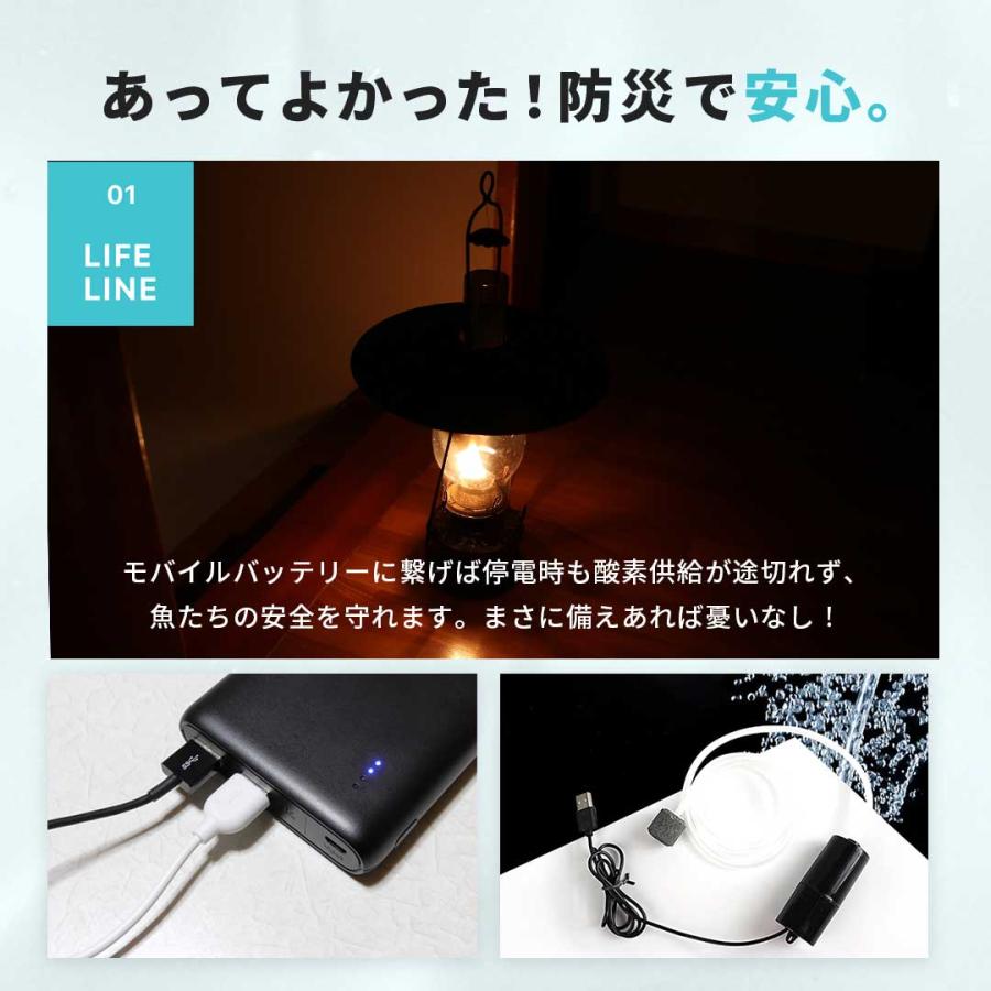 くろそら　エアポンプ　セット USBエアポンプセット エアレーション セット レビューで100日