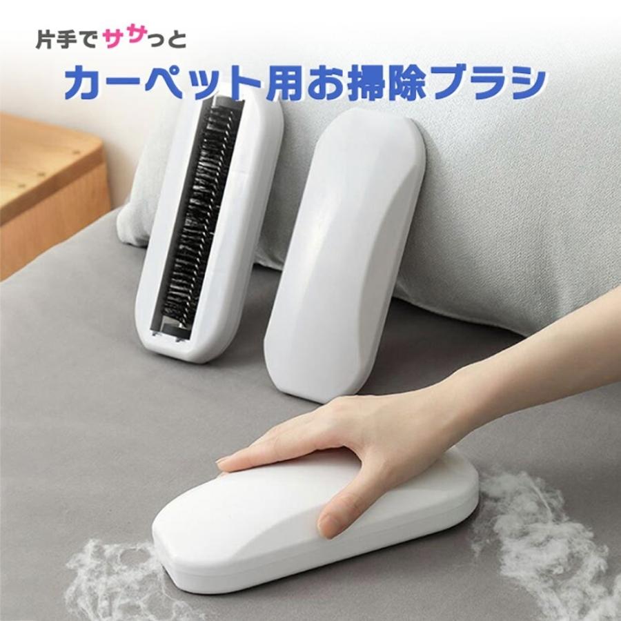 新作送料無料 コロコロ クリーナー 箱型 白 カーペット ブラシ ペットの毛 ブラッシング ほこり取り 毛取り 服 衣類 レッド ペット抜け毛 掃除 抜け毛取り 犬 猫 いぬ ねこ