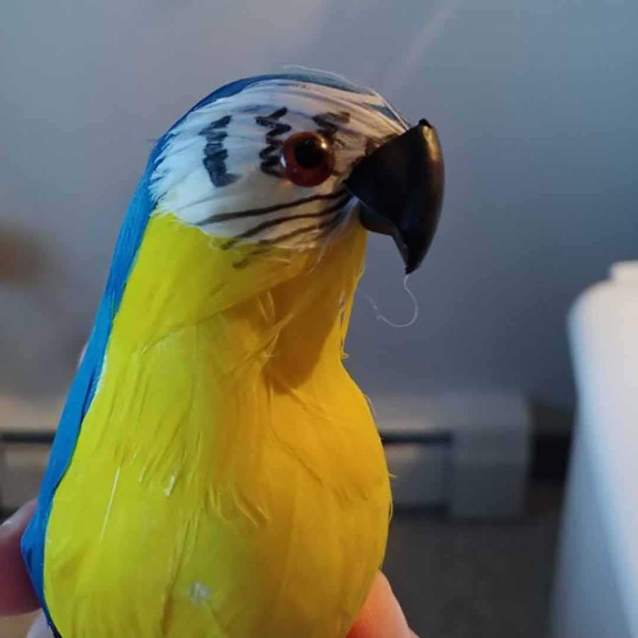 虫よけ オウム 鸚鵡 置物 ブルーorレッド 虫除け オブジェ 防虫