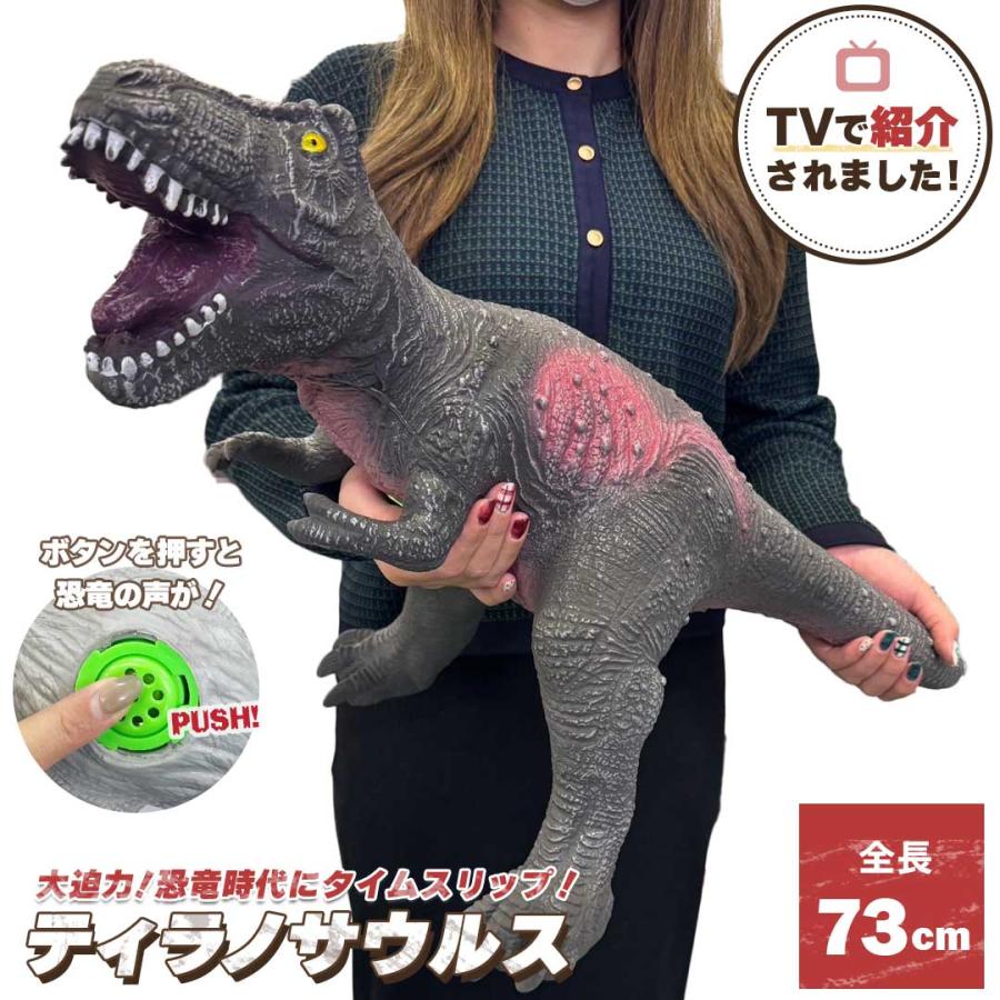 訳あり】 テレビで話題！ うわっ！ダマされた?賞！で紹介 玩具 恐竜