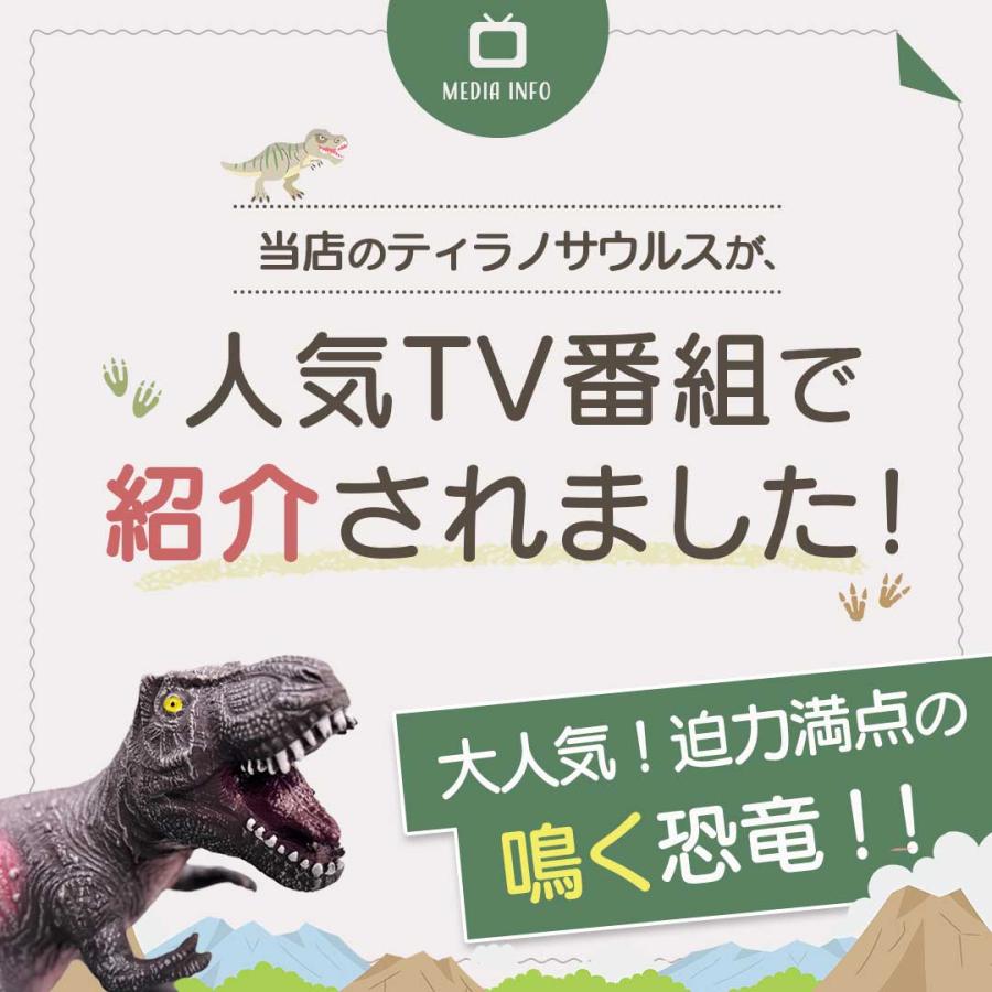 訳あり】 テレビで話題！ うわっ！ダマされた?賞！で紹介 玩具 恐竜